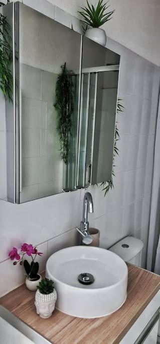 #New#Terrasse Sud Ouest#Pied De La Cite #1 Διαμέρισμα Καρκασόν Εξωτερικό φωτογραφία
