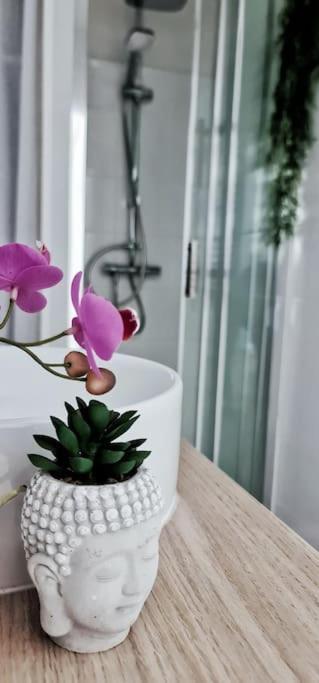 #New#Terrasse Sud Ouest#Pied De La Cite #1 Διαμέρισμα Καρκασόν Εξωτερικό φωτογραφία