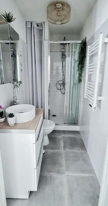 #New#Terrasse Sud Ouest#Pied De La Cite #1 Διαμέρισμα Καρκασόν Εξωτερικό φωτογραφία